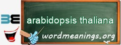 WordMeaning blackboard for arabidopsis thaliana